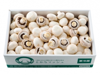 とかちマッシュ ホワイト 規格外 とかちマッシュ公式通販サイト