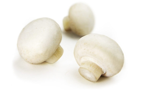 とかちマッシュ®︎ホワイト100ｇ×6パックセット